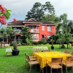 L’Opera Italian Restaurants & Wine Bar Gallery Image