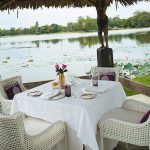 Seeds Restaurant & Lounge Gallery Image