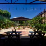 Sharky’s Restaurant Gallery Image