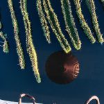 Balloon Over Inle (5)