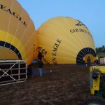 Golden Eagle Balloo (3)