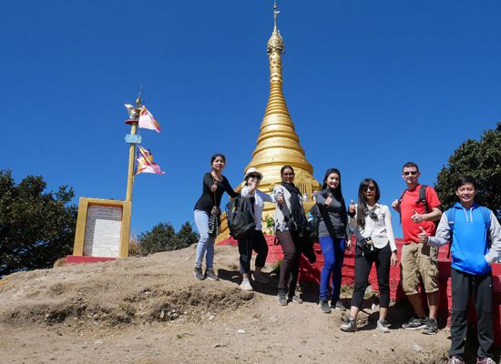 Plant Trip 2019 ( Chin State )