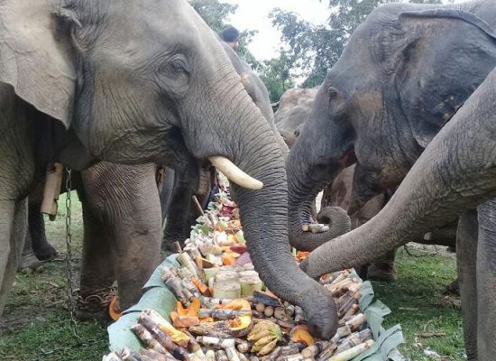 12D11N Myanmar Explorer Gallery 2