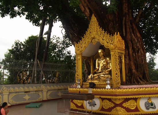 9D8N Cultural Discovery Gallery 2