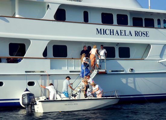 Pathein Port Michaelia Rose