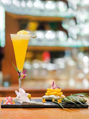 Discover Yangon's Timeless Bars in Style with Elephant Coach Kipling Bar Cover