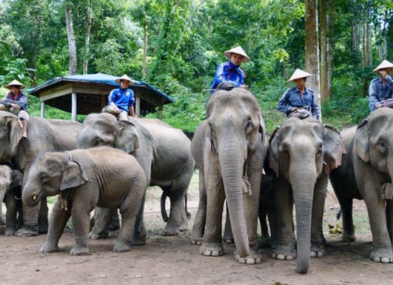Sunny Getaway in Ngwe Saung Beach Gallery 1