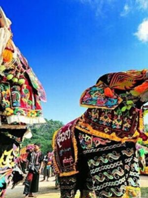 Elephant dancing festival Cover