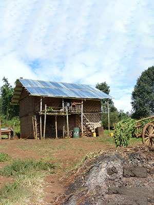 Nature Trails in Kalaw Cover