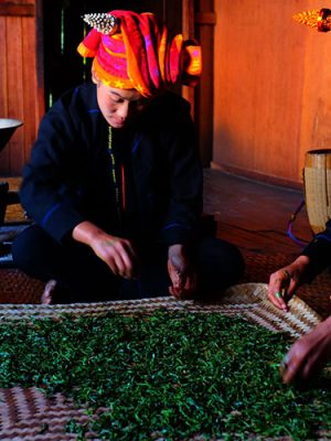 Pa O, Shan State CIT Community Involved Tourism Cover