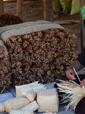 Pa O, Shan State CIT Community Involved Tourism Gallery 3