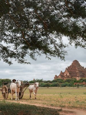 Pedaling Through Hidden Myanmar Bagan to Salay Cycling Expedition Cover
