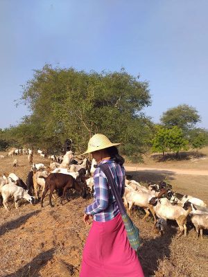 Responsible Travel Bagan Cover