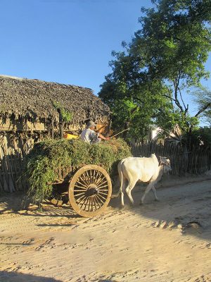 Responsible Travel Mandalay Cover
